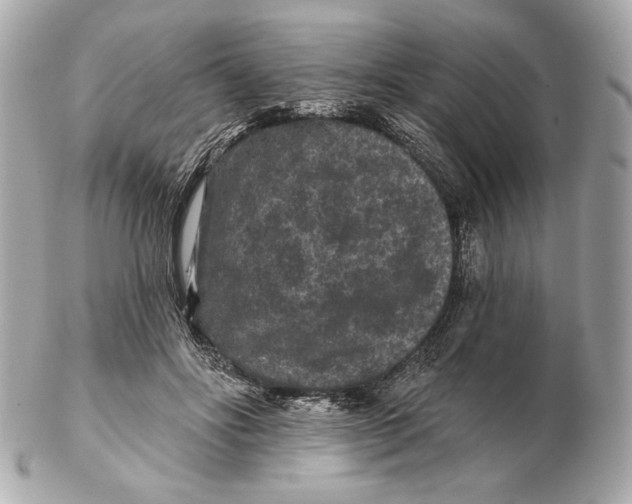 X0000102460502200808291545