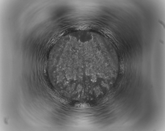 X0000102460503200808291545