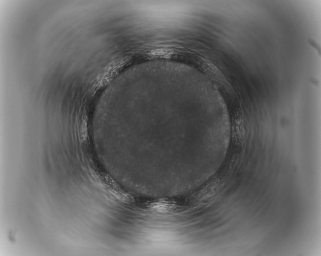 X0000102460504200808291545
