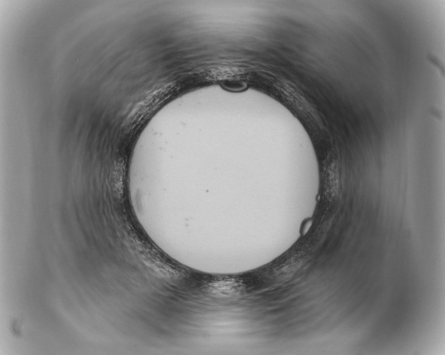 X0000102460505200808291545