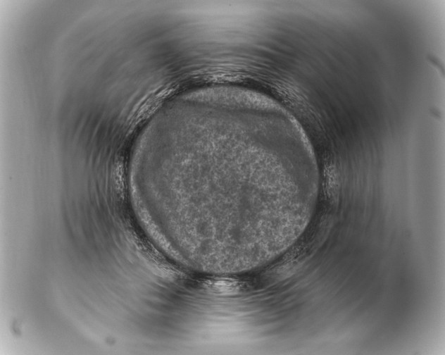 X0000102460506200808291545