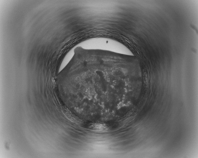 X0000102460507200808291545