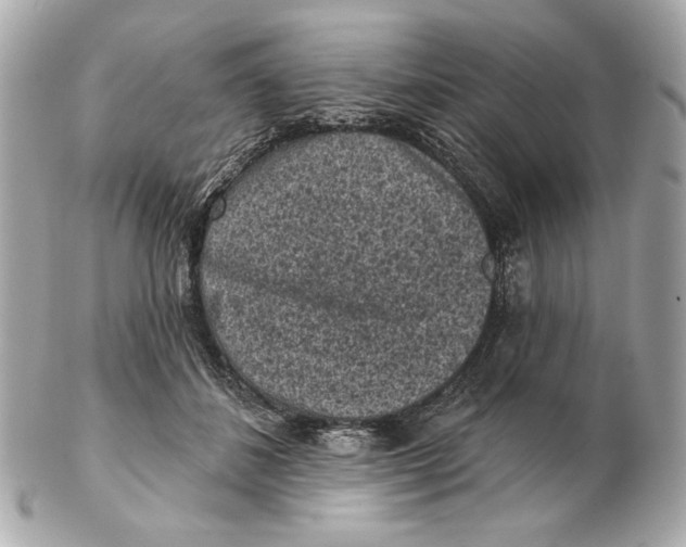 X0000102460508200808291545
