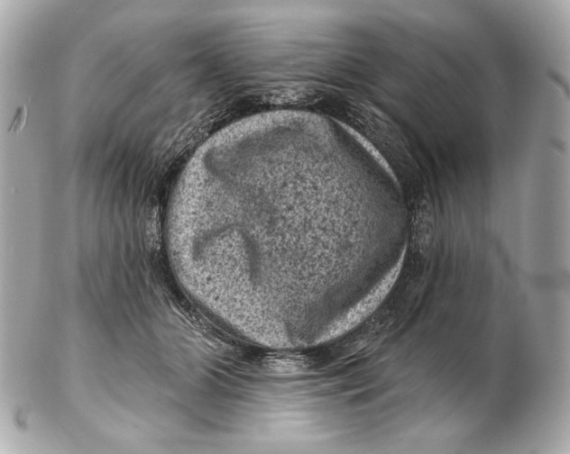 X0000102460510200808291545