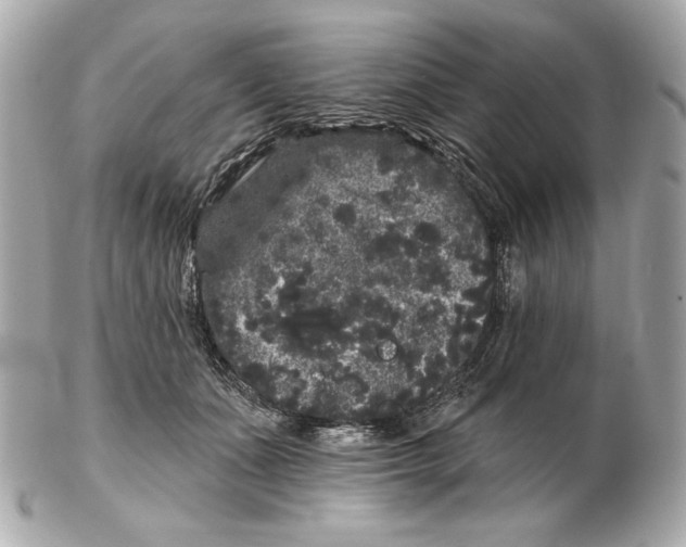 X0000102460511200808291545