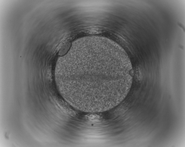 X0000102460512200808291545