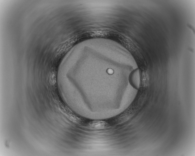 X0000102460514200808291545