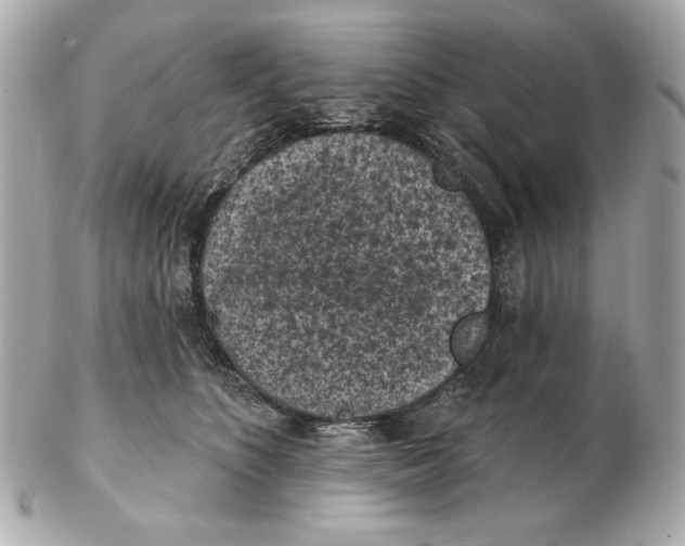 X0000102460516200808291545