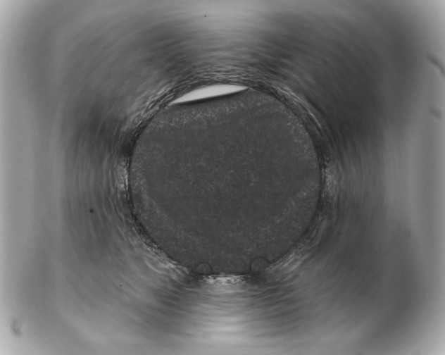 X0000102460517200808291545