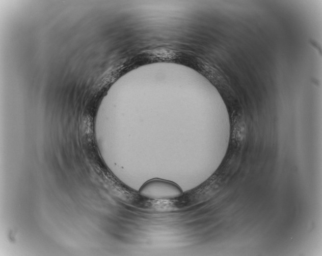 X0000102460518200808291545