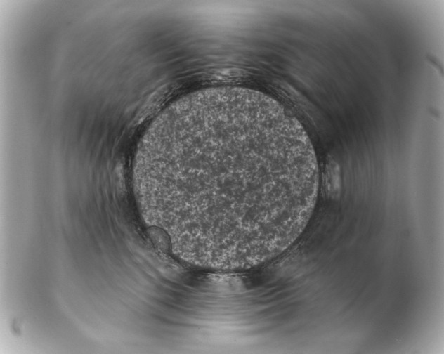 X0000102460520200808291545