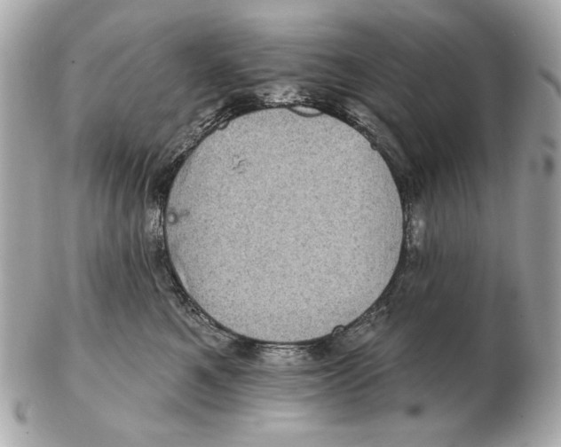 X0000102460521200808291545