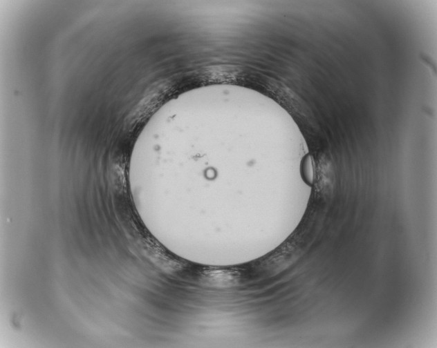 X0000102460522200808291545