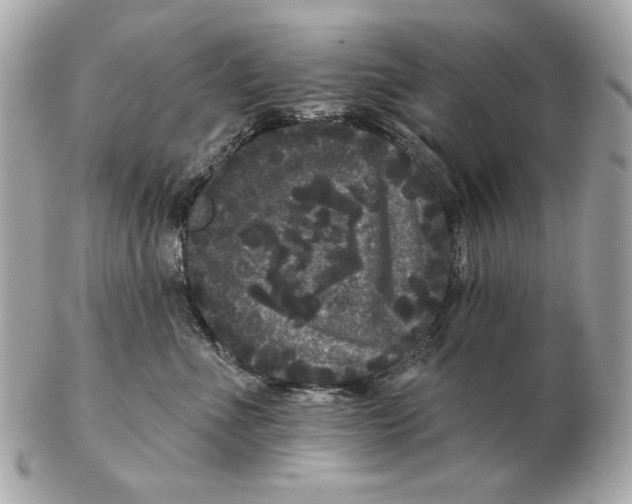 X0000102460523200808291545