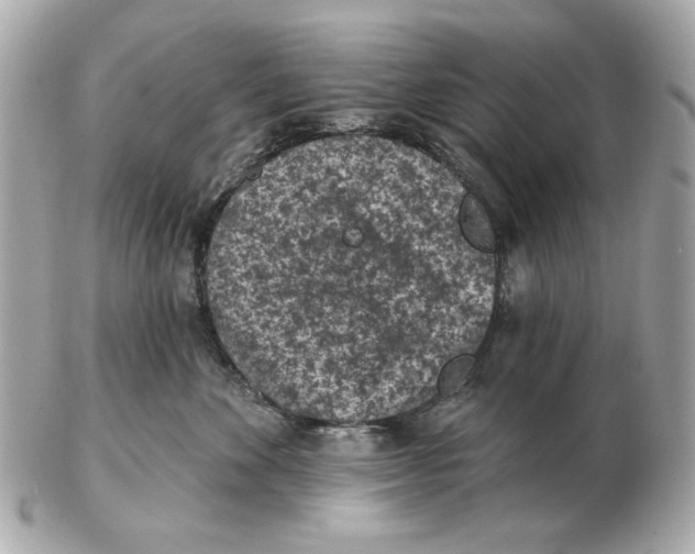 X0000102460524200808291545