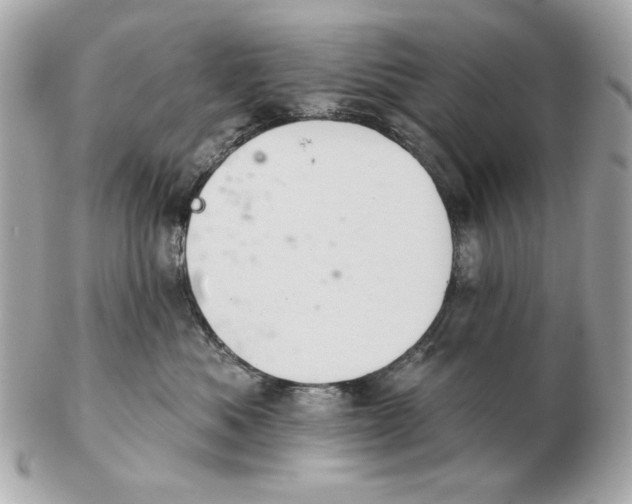 X0000102460525200808291545