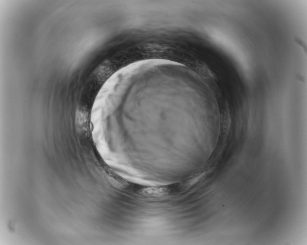 X0000102460526200808291545