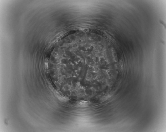 X0000102460527200808291545