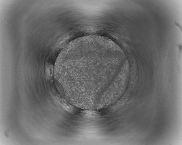 X0000102460528200808291545