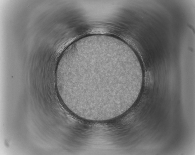 X0000102460529200808291544
