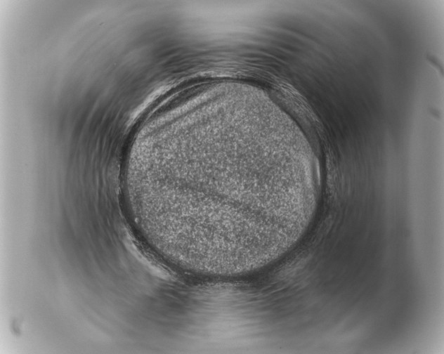 X0000102460530200808291544