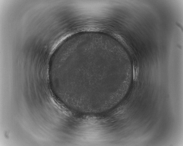 X0000102460531200808291544