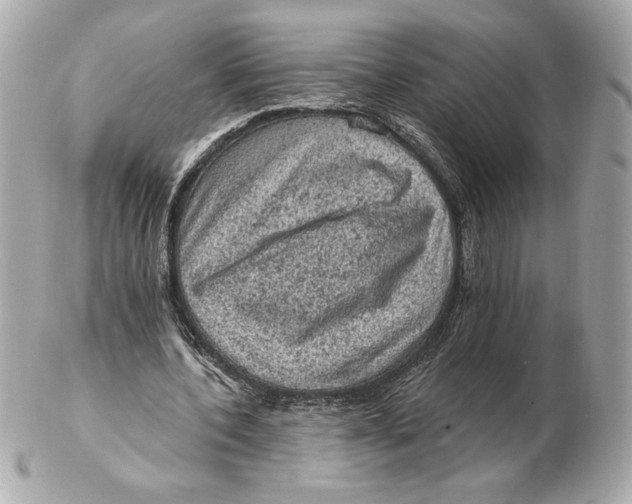 X0000102460532200808291544