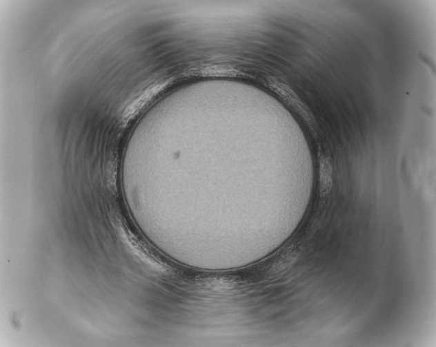 X0000102460533200808291544