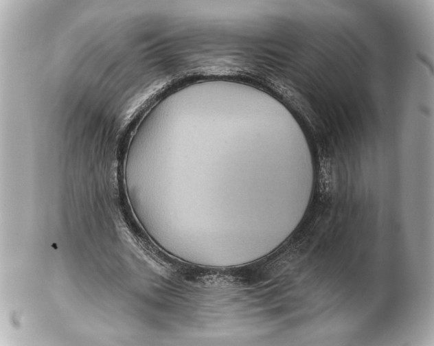 X0000102460535200808291544