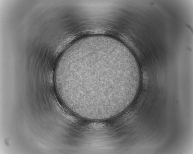 X0000102460537200808291544