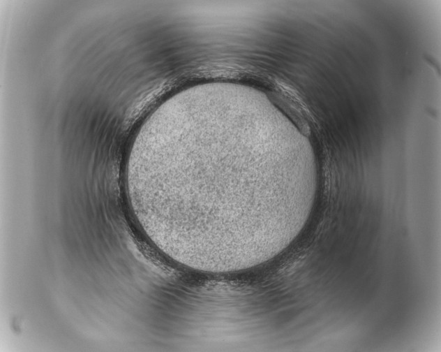 X0000102460538200808291544