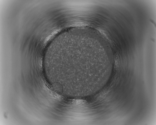 X0000102460539200808291544