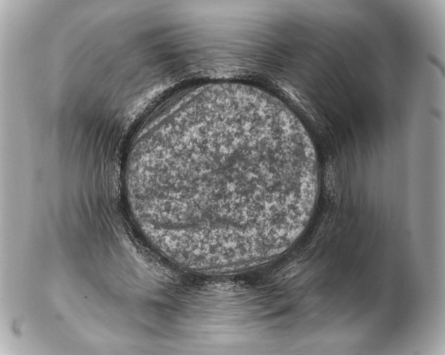 X0000102460540200808291544