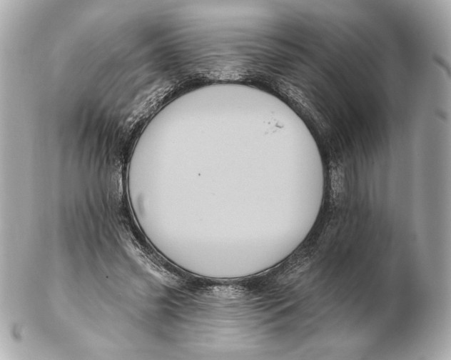 X0000102460541200808291544