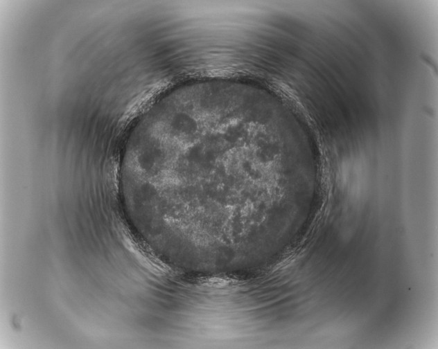 X0000102460542200808291544