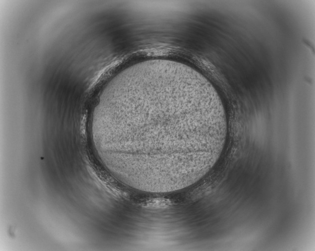 X0000102460543200808291544