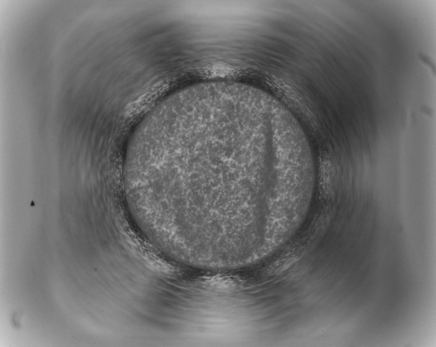 X0000102460545200808291544
