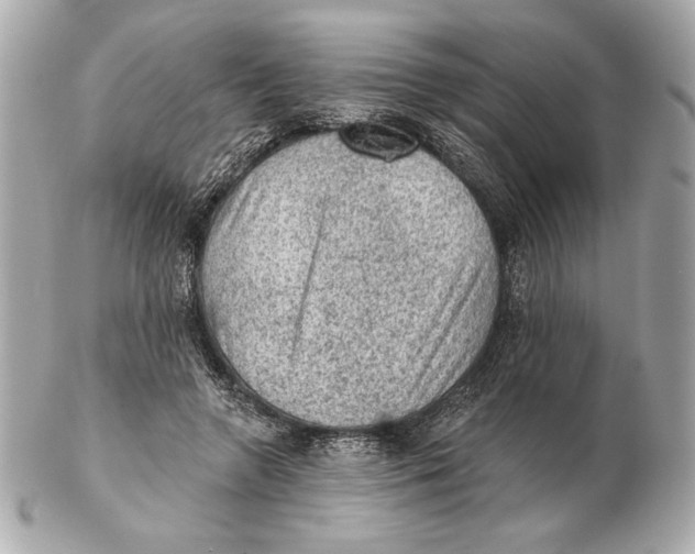X0000102460546200808291544