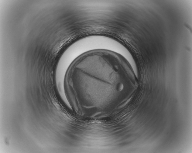 X0000102460547200808291544