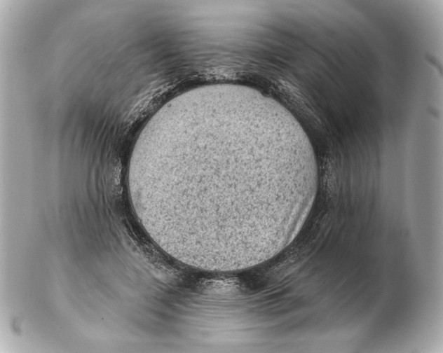 X0000102460548200808291544