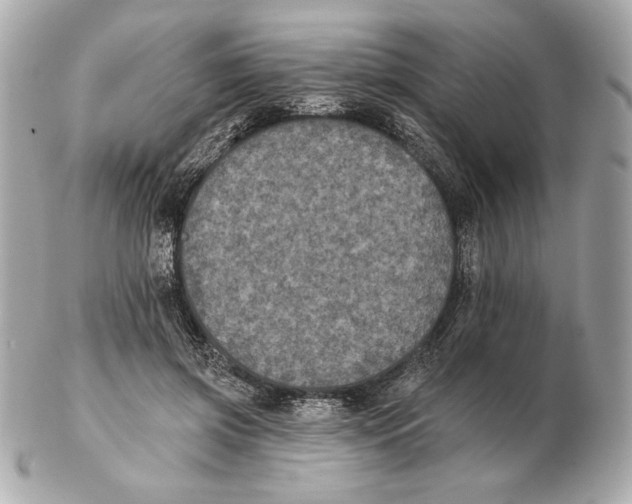 X0000102460549200808291544