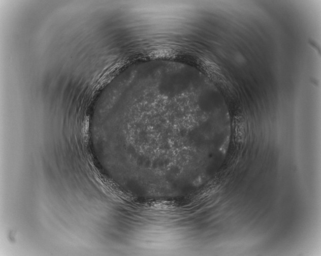 X0000102460550200808291544