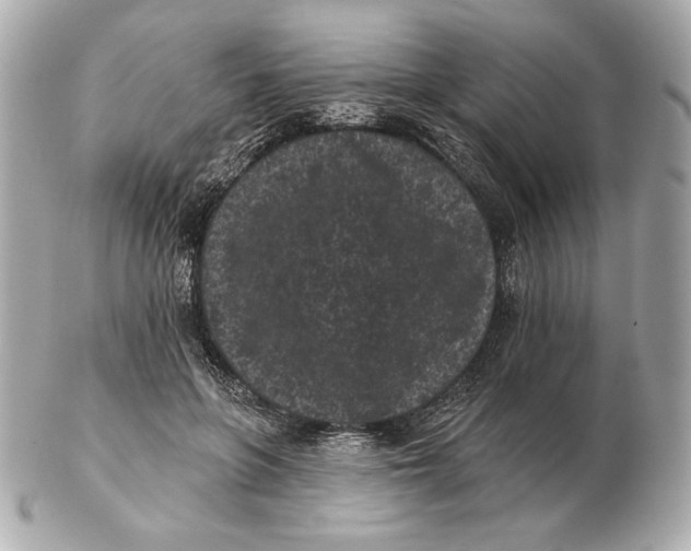 X0000102460551200808291544