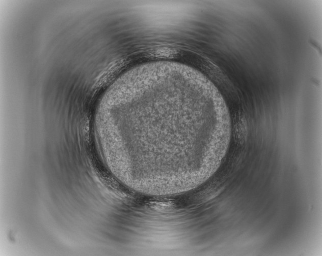 X0000102460552200808291544