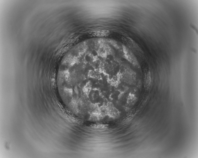 X0000102460553200808291544