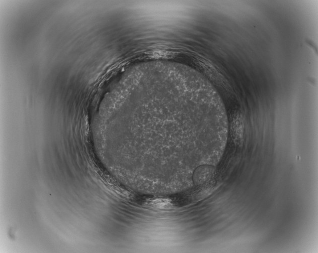 X0000102460554200808291544