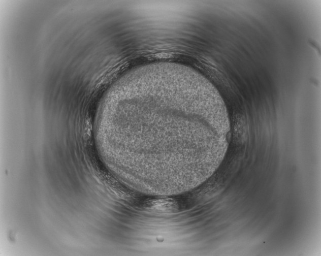 X0000102460555200808291544