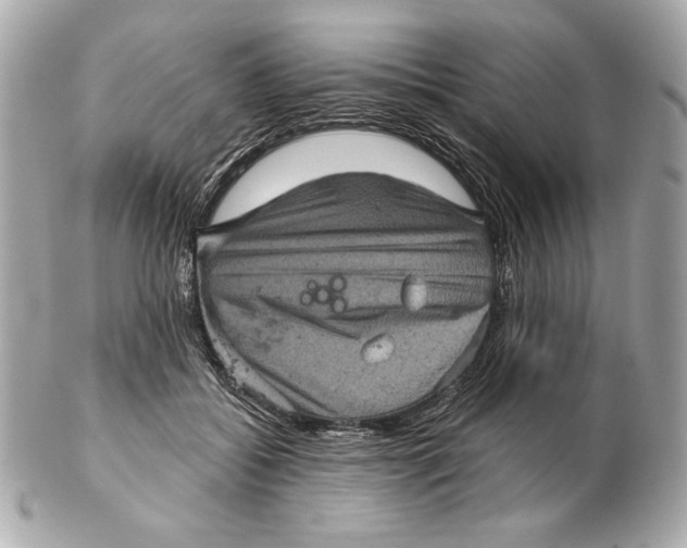 X0000102460556200808291544