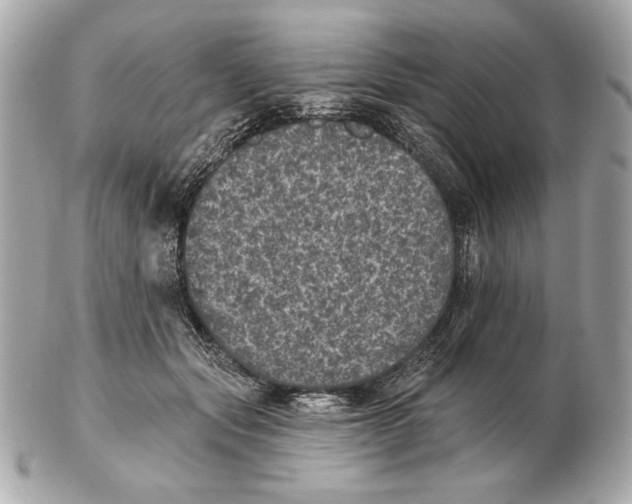 X0000102460557200808291544