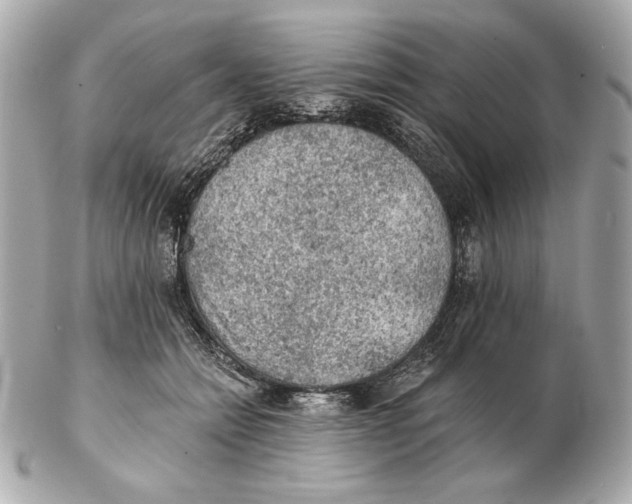X0000102460558200808291544